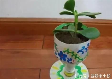 旧物|家中旧物拿来养花，1个花盆也不用买，种了满屋的花，漂亮实用