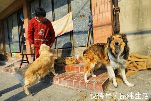 阿婆|走进这座水乡古镇：邂逅曾经逝去的江南时光