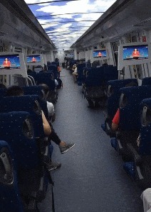 |搞笑GIF:看了这个才知道天底下都是一样的女人