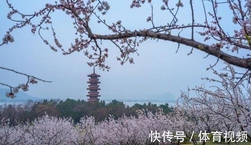 徐熙!苏轼的两首绝句,含蓄隽永,技巧高超,更彰显出不凡气度