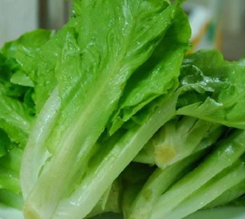 生菜|生菜不炒才更好吃，学会这招，2分钟搞定，一出锅比肉还受欢迎