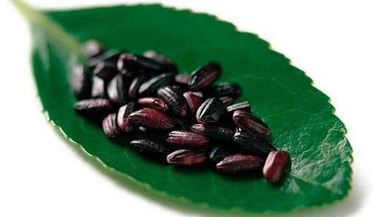 头晕头痛|气血不足头先知!头上出现三个异常,提醒你该补气血了,别忽视