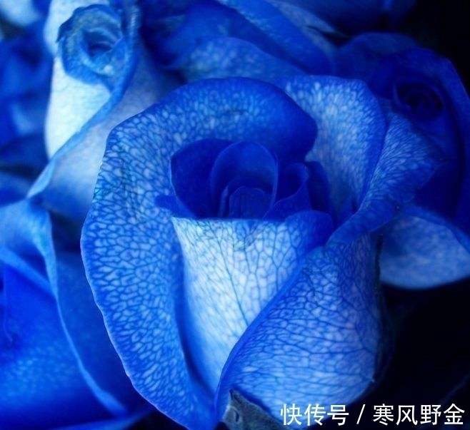 分手|相爱时很深情,分手后最绝情的四大星座,第一名最冷漠