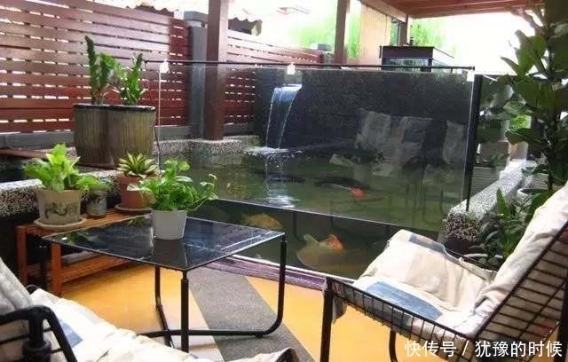 鱼缸和池还可以这样结合?只能说很有想法,有钱我也搞一个!