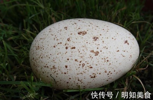 蛋黃|想長壽先排毒，常吃3 種食物，健脾養胃，排毒抗衰，滋補身體