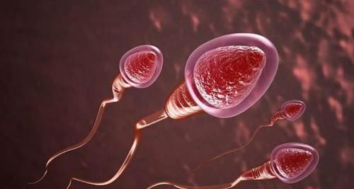 男性的最|男性的“最晚生育”年龄是多少岁比你想的要晚,看完才了解