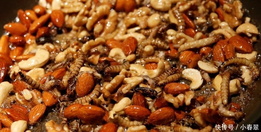 重口“美味”,你敢吃吗,我看了都怕了!