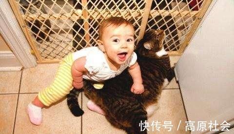 女童|两名五岁幼童挖隧道,成功“逃离”幼儿园,网友地道战后继有人