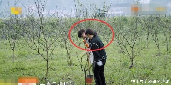 张艺兴 黄磊在节目撮合杨紫张艺兴,直言两人挺合适的,惹男方一脸无奈