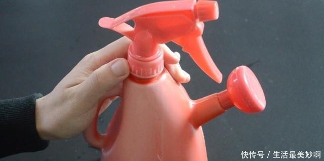 擦玻璃别用水了,教你用一秘招,擦完的玻璃光亮如新,方法太棒了!