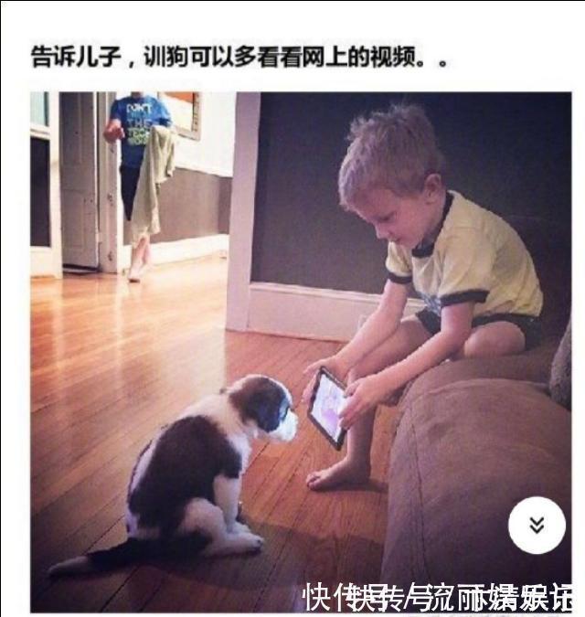 德国&刀柄断了,客服这样回复的:德国设计师不知道中国人会用刀拍大蒜