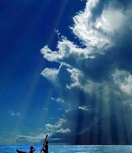 传来|太美了,世界照片今天终于传来,罕见至极,一睹为快