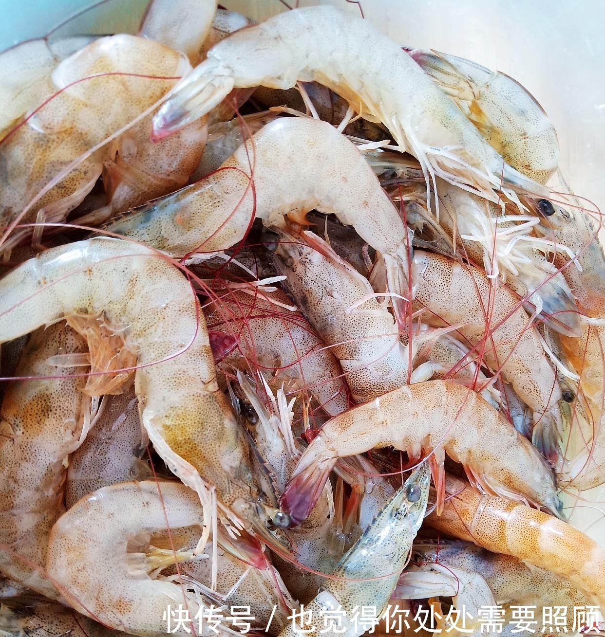 小饼|这样做的蔬菜小饼专治孩子挑食，一个一个吃不停