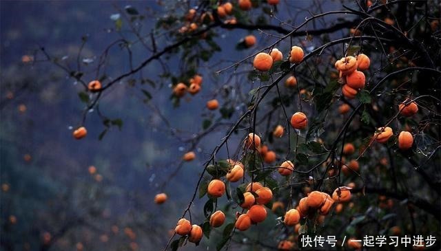 苏州人的宝岛秘境,美成仙境,却被时光遗忘!