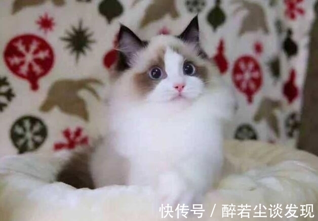 |爆笑段子:老师,她要逃课,我帮你拽着的!