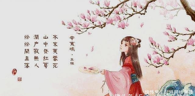 李适|她是历史上第一个敢对帝王说不的女人，抛弃荣华，和情郎双宿双飞