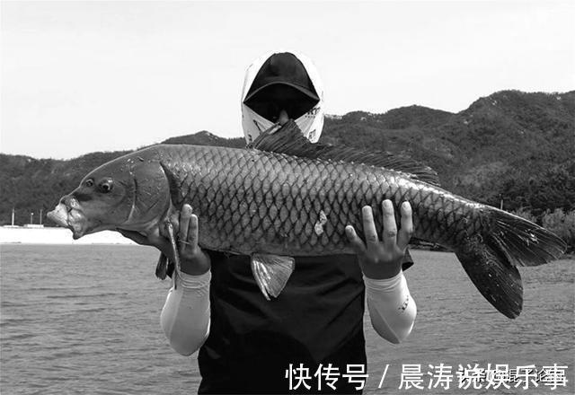 商品玉米饵又贵又难用?我教你自制酒泡玉米粒,不比买来的差