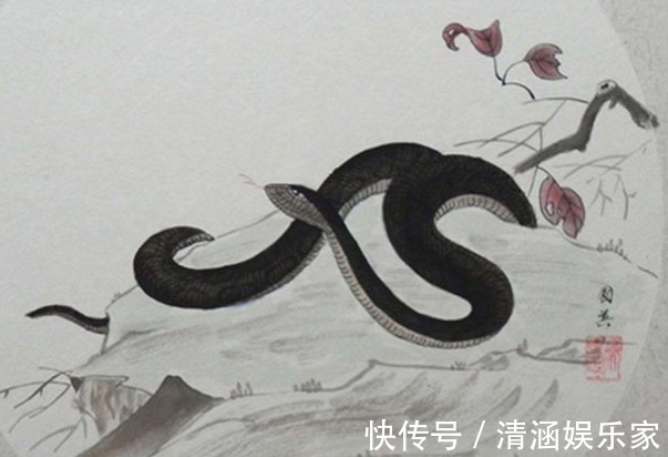 生肖蛇|80岁高僧说了生肖蛇晚年的“龙蛇飞动”，家有属蛇的看看吧