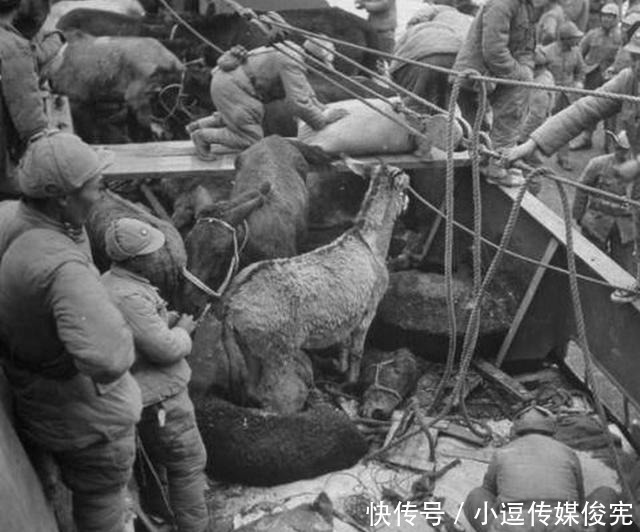 辽沈战役|辽沈战役珍贵画面:图一是在过冬