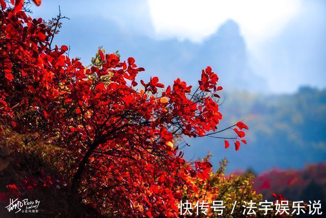 韩家洼|河南林州，太行山村的诗意秋色，万山红遍村民晒秋忙