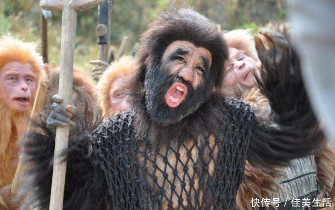 花果山|难怪孙悟空被擒之后,三界也无人敢闯花果山,你看那4个老猴来历