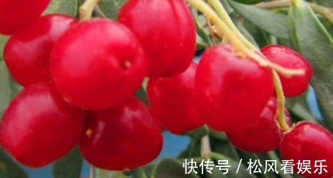 西兰花|秋天不容错过的食物,排毒养颜,延缓衰老,滋养女性子宫