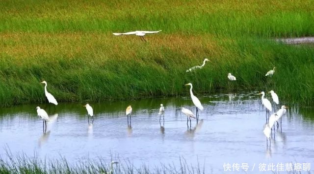 特克斯县八|伊犁六星街、八卦城等景区拟确定为国家4A级旅游景区！