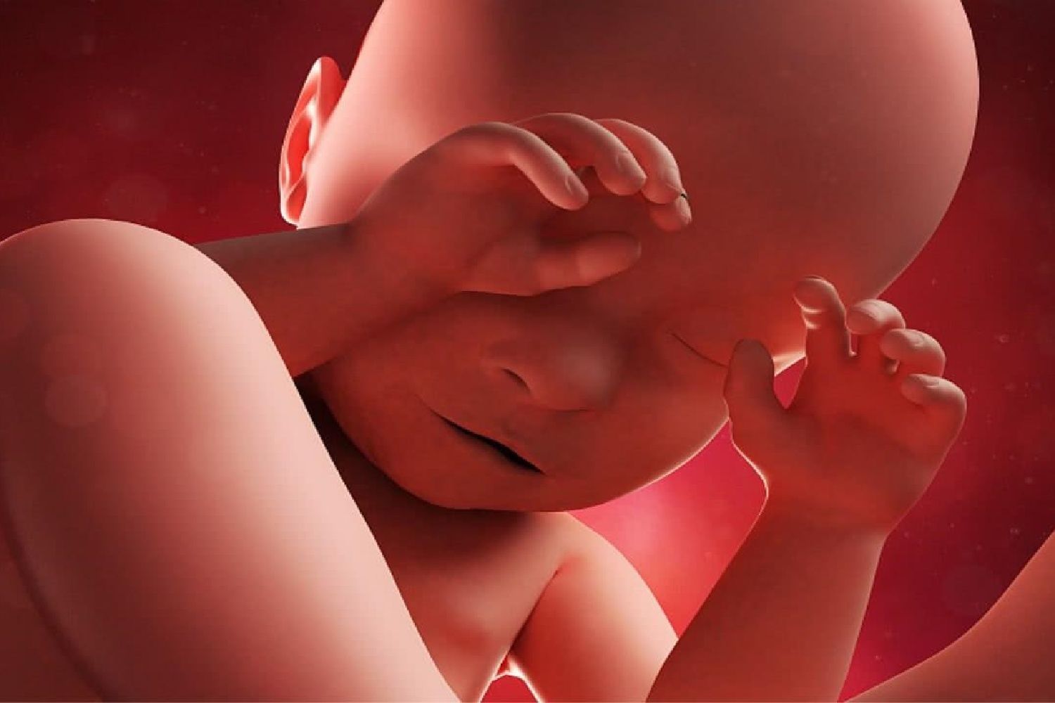 什么时候|胎儿什么时候长最快？合理控制体重，孩子大脑发育好更健康