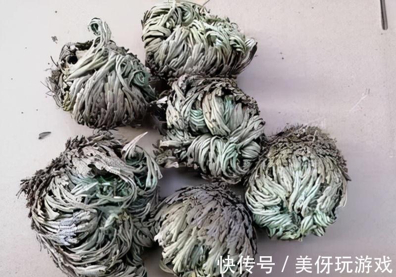 九死还魂草|9种养不死的花，绿萝只能排最后，再养不活就剁手吧