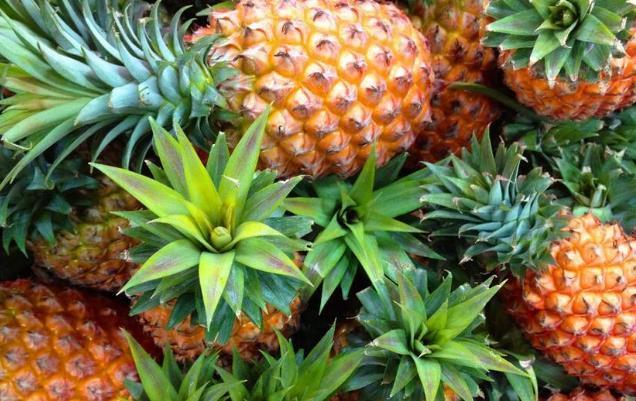 滋补|人到中年想长寿，常吃以下食物，清除体内垃圾，美容养颜，好处多