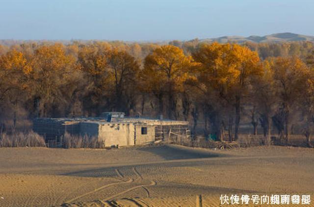 沙漠|深藏于沙漠的中国村庄，号称沙漠守望者，这里的女性从不外嫁