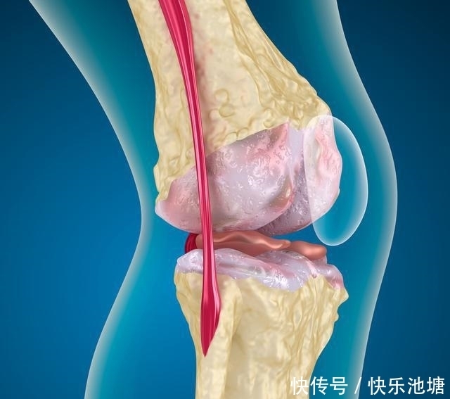 方法|护膝小方法,2个穴位每天按,腿疼腿麻不见了,滑膜炎也离你而去