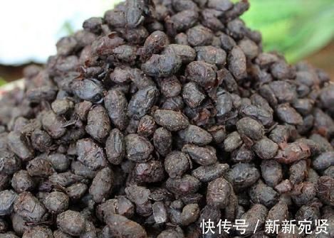 人到中年|无论男女,人到中年常吃3豆,女性吃有百益,能养生,能养人