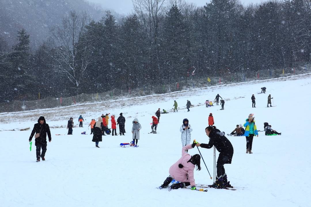 冰雪季|喜迎冬奥会 嬉雪光雾山丨第七届四川光雾山冰雪季开幕