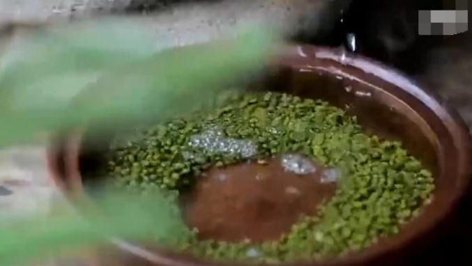 李子柒自制绿豆芽，看到她制作的方法后，网友这也太费心思了吧