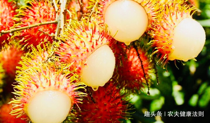 痛经|十个女性九个气色差，每天多食此“调经果”，痛经好了，清理毒素