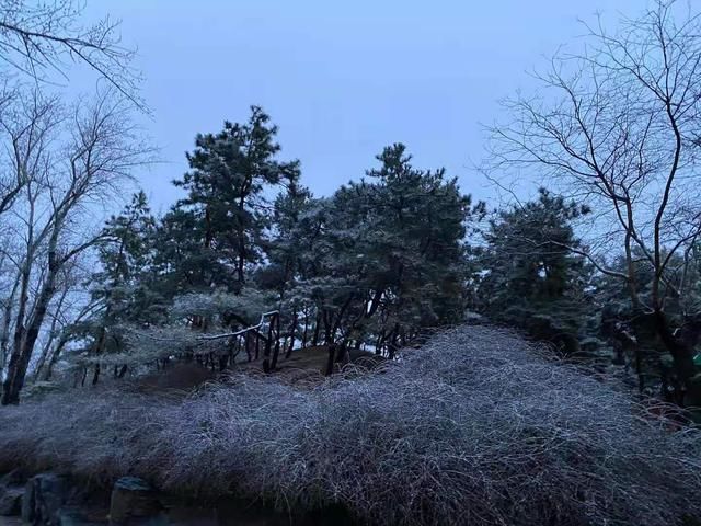 醉东风|2021年第一场雪，圆明园春雪风光