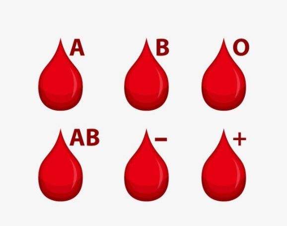 Ab型血型真的是罕见血型吗 备孕夫妻要对自己和孩子血型了解 快资讯