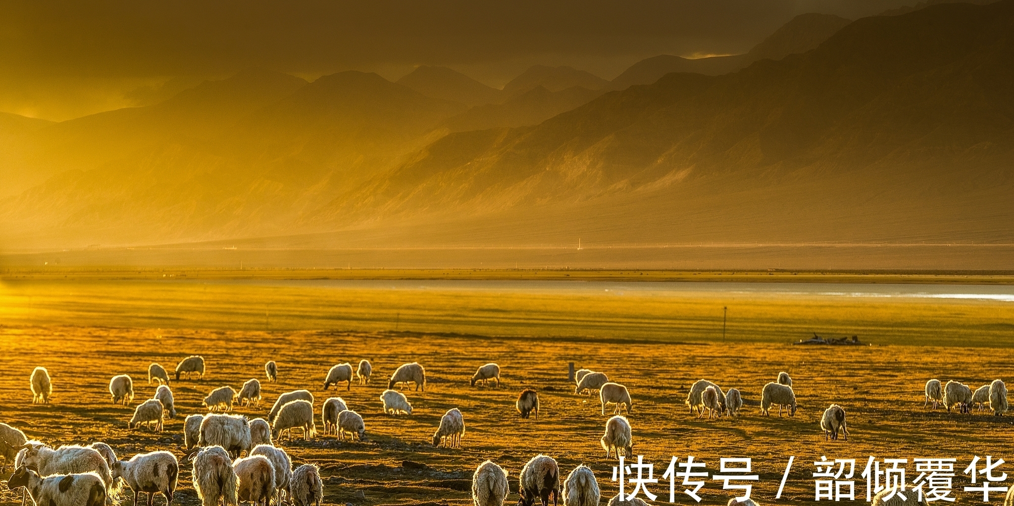 诗人#宋诗精华五首,其中一首是王安石的送别佳作,值得一读