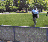 |搞笑GIF:摄影师你别晃了好不好我都看不清