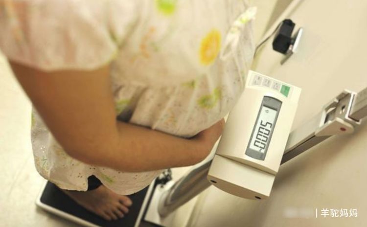 男孩|怀孕后孕妈心跳变快说明“怀男孩”?多数宝妈深信不疑,真准?