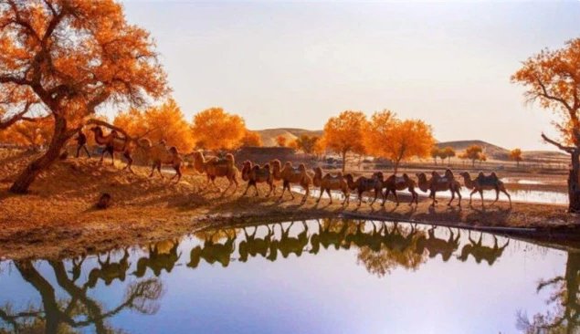 匈奴|古诗“不破楼兰终不还”，神秘的楼兰拉了啥仇恨？古人追杀好多年
