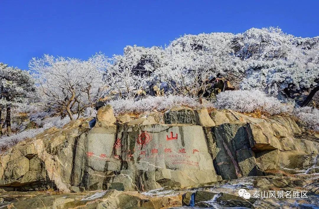 老年|跟随姚鼐的散文《登泰山记》冬览泰山