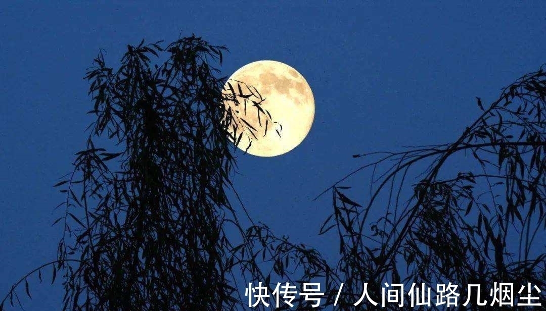 日日思君@写满相思的10大经典宋词,陆游《钗头凤》仅第四,前三分别是?