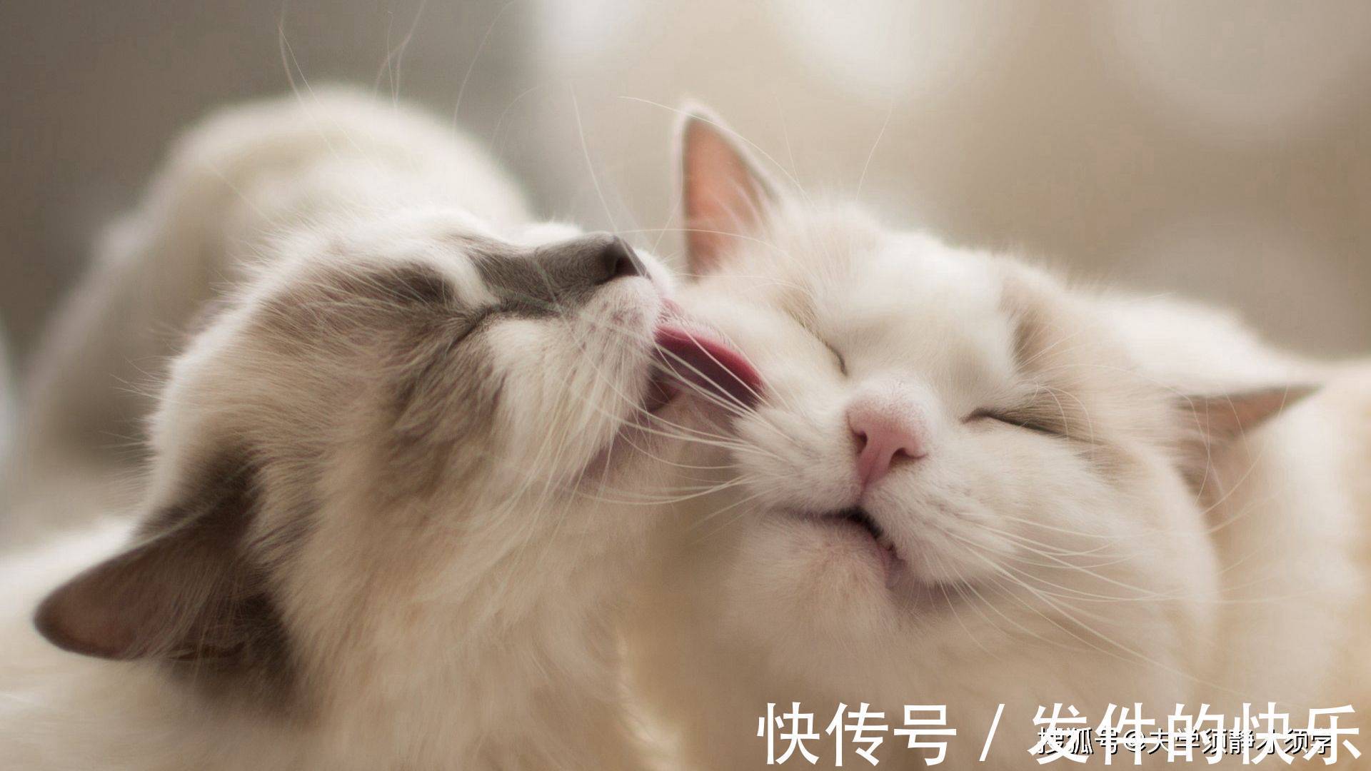 |幽默笑话:我正在午睡,突然接到女老板电话:你明天不用来上班了!