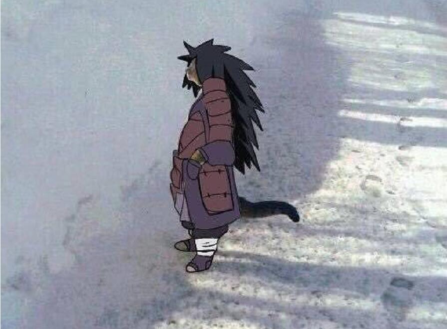 只猫|当猫cosplay《火影》,认出斑爷,认出鼬,能认出小樱吗