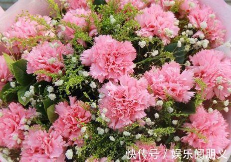 盆花草|家里养花，试试3种花，秀气唯美还好养，养几盆，四季赏花心情爽