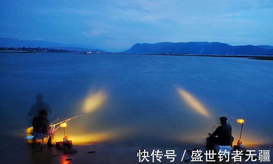 鲤鱼|夏季钓鱼流行夜钓,做好这几点,鱼获不会少!——盛世三渔
