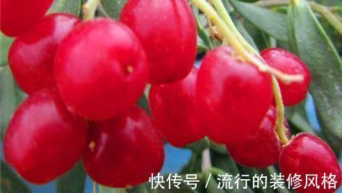 维生素b|女性过了30,不妨常吃3物,滋养肌肤,促进排毒,子宫更健康