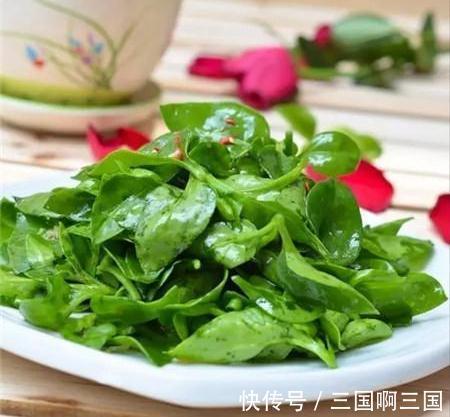 8种花“作用大”,香气满屋能泡茶,你养着花漂亮,花养着你健康